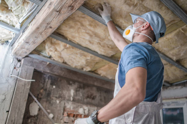 Best Residential Insulation in Brackenridge, PA