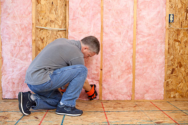 Best Insulation Maintenance and Repair in Brackenridge, PA