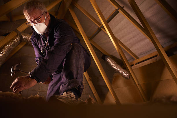Best Specialized Insulation Services in Brackenridge, PA